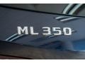 Mercedes-Benz ML 350 BlueTEC 4Matic Lunar Blue Metallic photo #7