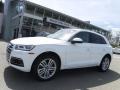 Audi Q5 2.0 TFSI Premium Plus quattro Ibis White photo #1