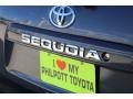 Toyota Sequoia SR5 Magnetic Gray Metallic photo #8