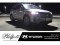 Hyundai Santa Fe SE Iron Frost photo #1