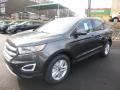 Ford Edge SEL Magnetic photo #5