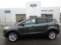 Ford Escape SEL 4WD Magnetic photo #1