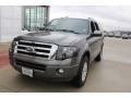 Ford Expedition Limited Sterling Gray photo #9