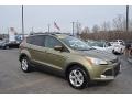 Ford Escape SE 1.6L EcoBoost Frosted Glass Metallic photo #1