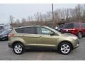 Ford Escape SE 1.6L EcoBoost Frosted Glass Metallic photo #2