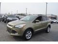 Ford Escape SE 1.6L EcoBoost Frosted Glass Metallic photo #6