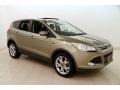 Ford Escape SEL 1.6L EcoBoost 4WD Ginger Ale Metallic photo #1