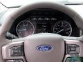 Ford Expedition XLT White Gold photo #16