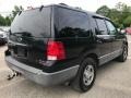 Ford Expedition XLT 4x4 Black Clearcoat photo #9