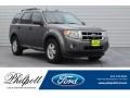Ford Escape XLT Sterling Grey Metallic photo #1
