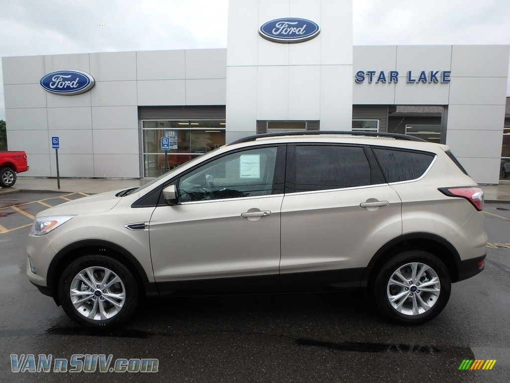 White Gold / Charcoal Black Ford Escape SEL 4WD