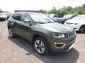Jeep Compass Limited 4x4 Olive Green Pearl photo #7