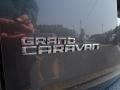 Dodge Grand Caravan SE Granite Pearl photo #16