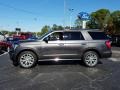Ford Expedition Limited Magnetic Metallic photo #2
