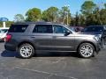 Ford Expedition Limited Magnetic Metallic photo #6