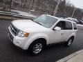 Ford Escape Limited V6 4WD White Suede photo #6
