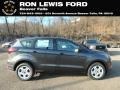 Ford Escape S Magnetic photo #1