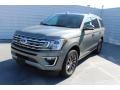 Ford Expedition Limited Silver Spruce Metallic photo #4