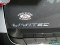 Ford Explorer Limited Magnetic Metallic photo #38
