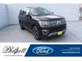 Ford Expedition Limited Agate Black Metallic photo #1