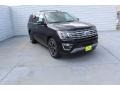 Ford Expedition Limited Agate Black Metallic photo #2