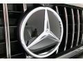 Mercedes-Benz G 63 AMG designo Graphite Metallic photo #33