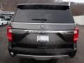 Ford Expedition XLT 4x4 Magnetic photo #3