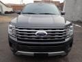 Ford Expedition XLT 4x4 Magnetic photo #8