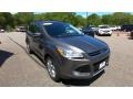 Ford Escape SEL 1.6L EcoBoost 4WD Sterling Gray Metallic photo #1