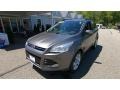 Ford Escape SEL 1.6L EcoBoost 4WD Sterling Gray Metallic photo #3