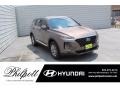 Hyundai Santa Fe SEL Earthy Bronze photo #1