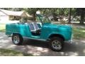 Ford Bronco Roadster Caribbean Turquoise photo #12