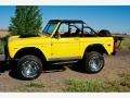 Ford Bronco 4x4 Canary Yellow photo #8