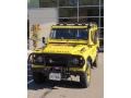 Land Rover Defender 110 Camel Trophy Edition Yellow photo #11