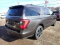 Ford Expedition Limited Max 4x4 Magnetic Metallic photo #2