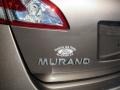Nissan Murano S Tinted Bronze photo #28