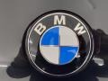 BMW X7 M50i Black Sapphire Metallic photo #5
