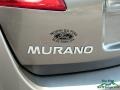 Nissan Murano SL Tinted Bronze Metallic photo #27