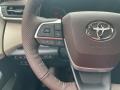Toyota Sienna Platinum AWD Hybrid Predawn Gray Mica photo #21