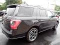 Ford Expedition Limited Stealth Package 4x4 Agate Black photo #6
