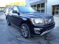 Ford Expedition Limited 4x4 Agate Black photo #9