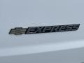 Chevrolet Express 2500 Cargo WT Summit White photo #19