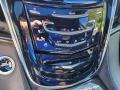 Cadillac Escalade Platinum 4WD Radiant Silver Metallic photo #22