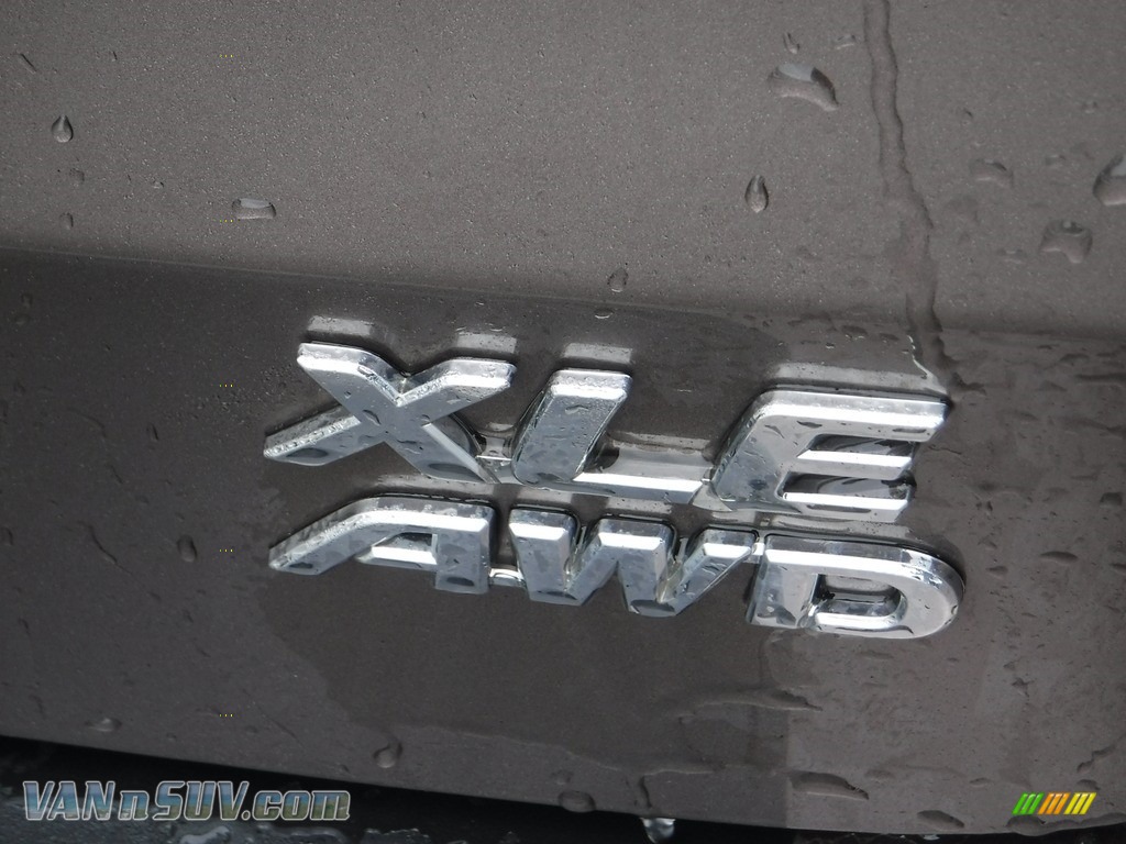 2020 Sienna XLE AWD - Toasted Walnut Pearl / Dark Bisque photo #21