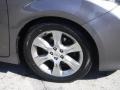 Toyota Sienna SE Predawn Gray Mica photo #10