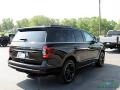 Ford Expedition Limited 4x4 Agate Black Metallic photo #5