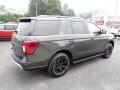 Ford Expedition Timberline 4x4 Forged Green Metallic photo #5