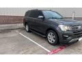 Ford Expedition XLT Magnetic Metallic photo #3