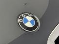 BMW X5 sDrive40i Arctic Grey Metallic photo #7
