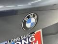 BMW X5 sDrive40i Arctic Grey Metallic photo #9